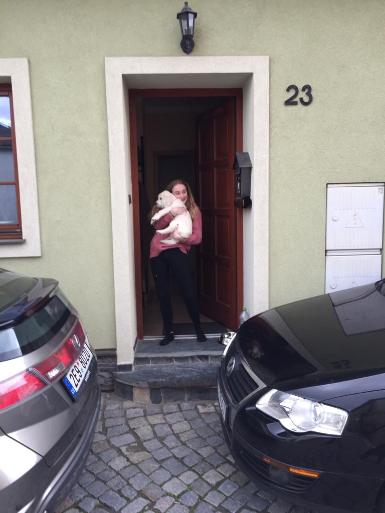 IMG-20190524-WA0004