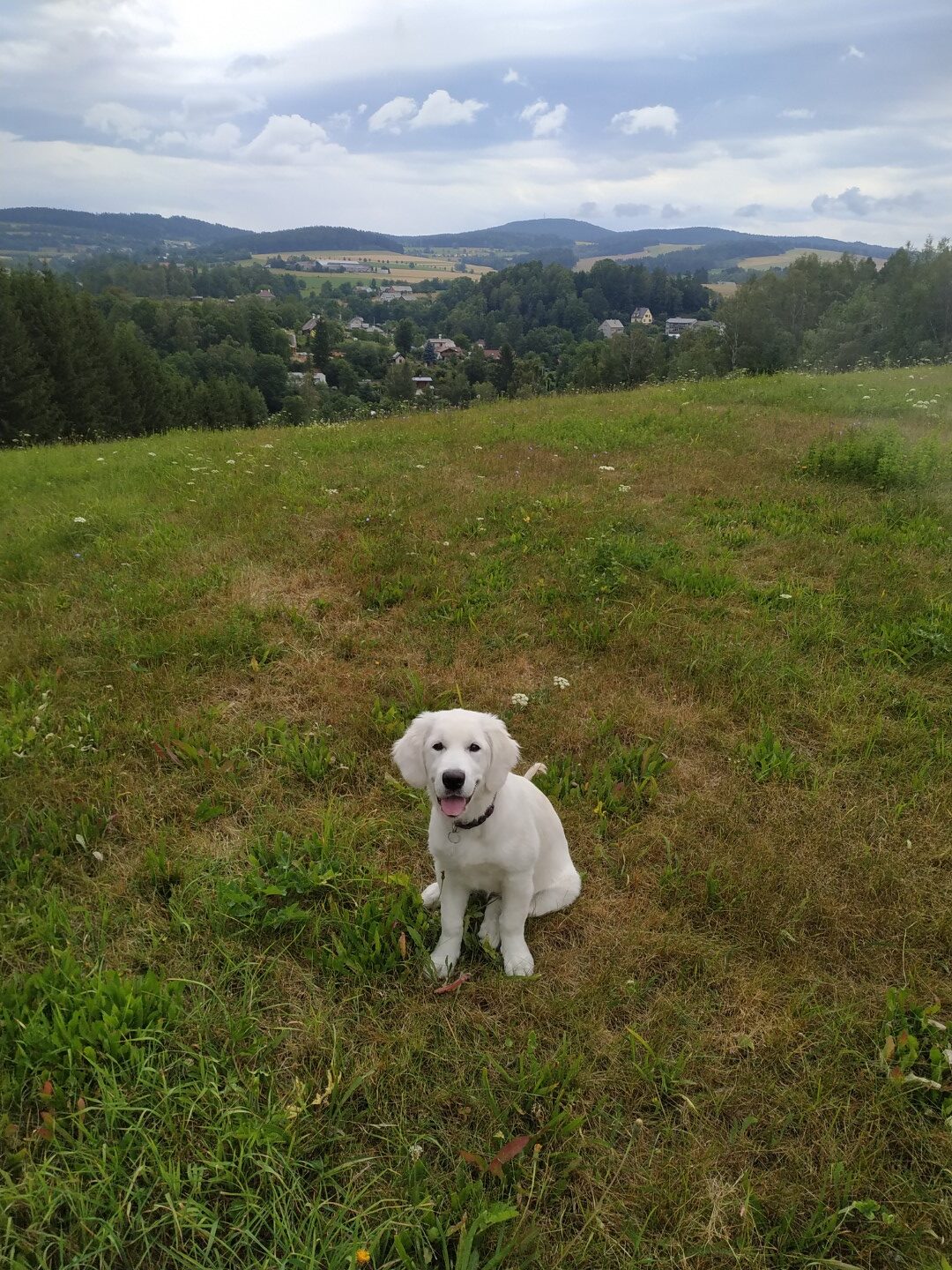 IMG_20190721_115656 (Velké)