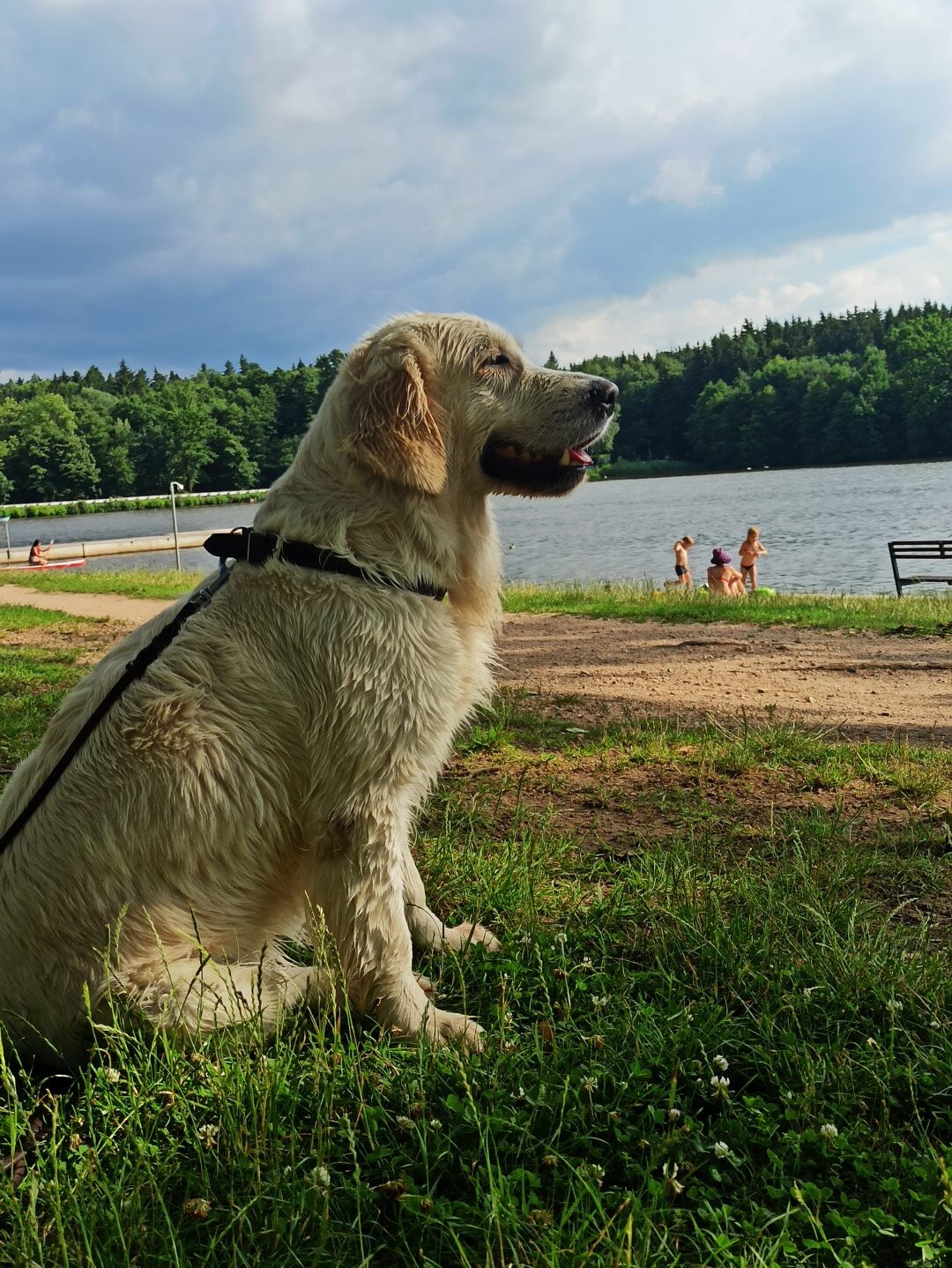 IMG_20210715_171147 (Velké)